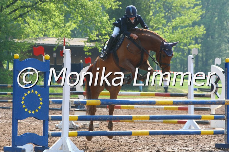 103M3132_Gracy Girl_Springpf A.JPG